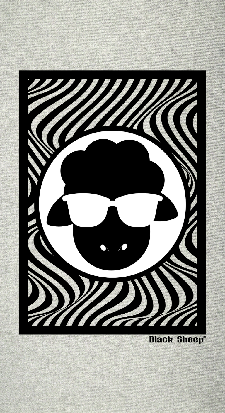 BS Graphic WAVE Oversized T